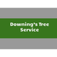 Downing's Tree Service in Mansfield, IL Tree Services