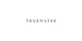 Truewater in Spring Branch - Houston, TX Information Technology Services