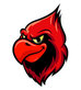 Cardinal Roofing in Huntsville, AL Roofing Decks