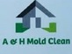 A & H Mold Clean in Dover, DE Molds
