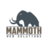 Mammoth Web Solutions in Prescott, AZ