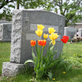 Mcgan Cremation Service in Inverness, FL Funeral Services Crematories & Cemeteries