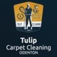 Tulip Carpet Cleaning Odenton in Odenton, MD Carpet Rug & Upholstery Cleaners