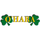 O'Hara Pest Control in Northwood Hills - West Palm Beach, FL Exterminating And Pest Control Services