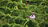 Grand Junction Landscaping in Grand Junction, CO