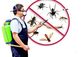 Skedaddle Pest Management in Wakefield-Williamsbridge - Bronx, NY Pest Control Services