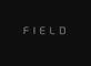 Field in Rye Brook, NY Health & Medical