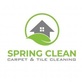 Spring Clean Carpet & Tile Cleaning in South Scottsdale - Scottsdale, AZ Carpet Cleaning & Repairing