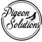 Pigeon Solutions in Florence, AZ Pest Control Services
