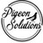 Pigeon Solutions in Florence, AZ
