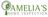 Amelia's Home Inspection Waukesha County in Elm Grove, WI