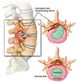 Chiropractor in Edison, NJ 08837