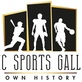 Relic Sports Gallery in Cortland, OH Baseball Cards & Sports Memorabilia