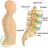Slipped Disc In Back Treatment in Edison, NJ