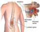 Offices Of Chiropractors in Union, NJ 07083