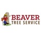 Beaver Tree Service in Winston Salem, NC Tree Services