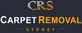 Carpet Removal Sydney in new york, AL Floor Covering Removal Service