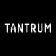 Tantrum Agency in Home Park - Atlanta, GA Graphic Design Services