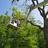 Elite Landscaping in Abilene, TX