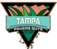 Tampa Paver Group in Tampa, FL Asphalt & Paving Materials