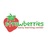 Strawberries Early Learning Center in Worcester, MA 01608 Child Care Agencies