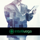 Intellivega in San Angelo, TX Consulting Services