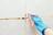 Downey carpet cleaning in Downey, CA