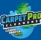 Carpet Pro Cleaners Nashville in Murfreesboro, TN Carpet Cleaning & Dying