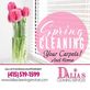 Dalias Cleaning Services in West Of Twin Peaks - San Francisco, CA Home Care Products