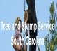 Tree and Stump Service SC in Columbia, SC Tree Consultants