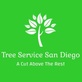 Tree Service San Diego in Pacific Beach - San Diego, CA Tree Services