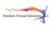 Freedom Virtual Solutions, in Tulsa, OK