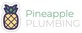 Pineapple Plumbing - Honolulu in Ala Moana-Kakaako - Honolulu, HI Plumbing Contractors