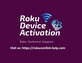 Roku Com Link Help in Tampa, FL Entertainment