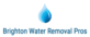Brighton Water Removal Pros in Brighton, CO Fire & Water Damage Restoration