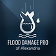 Flood Damage Pro of Alexandria in Alexandria, VA Fire & Water Damage Restoration