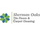 Sherman Oaks Carpet & Tile Cleaning in Sherman Oaks, CA Carpet Cleaning & Dying