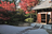 Pave Your Landscape in Business District - Irvine, CA