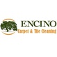 Carpet Cleaning & Dying in Encino, CA 91316