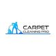 Carpet Cleaning Pro in Aurora, IL Carpet Cleaning & Dying