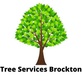 Tree Services Brockton in Brockton, MA Tree Services
