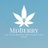 Mdberry in Gramercy - New York, NY