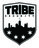 Tribe Security in Pottage Park - Chicago, IL