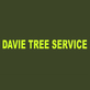 Davie Tree Service in Fort Myers, FL Tree Services