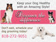 Mobile Dog Grooming LA in Panorama City, CA Pet Grooming & Boarding