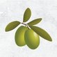 The Simple Greek in Midland, GA Mediterranean Restaurants