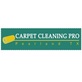 Carpet Cleaning Pro Pearland TX in Pearland, TX Carpet Cleaning & Dying
