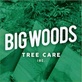Big Woods Tree Care in Harrisonville, MO Tree Surgery