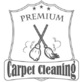 Fredericksburg Carpet Cleaning in Fredericksburg, VA Carpet Cleaning & Repairing