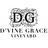 D'Vine Grace Vineyard in McKinney, TX